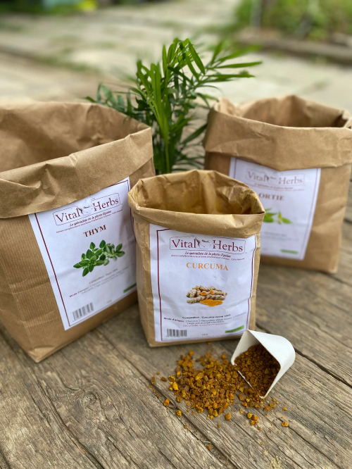 Plantes individuelles