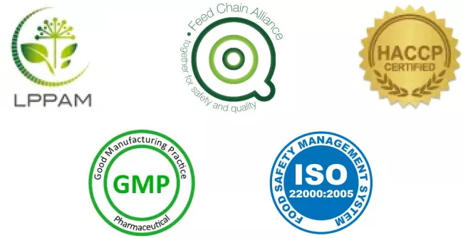 A propos de VitalHerbs