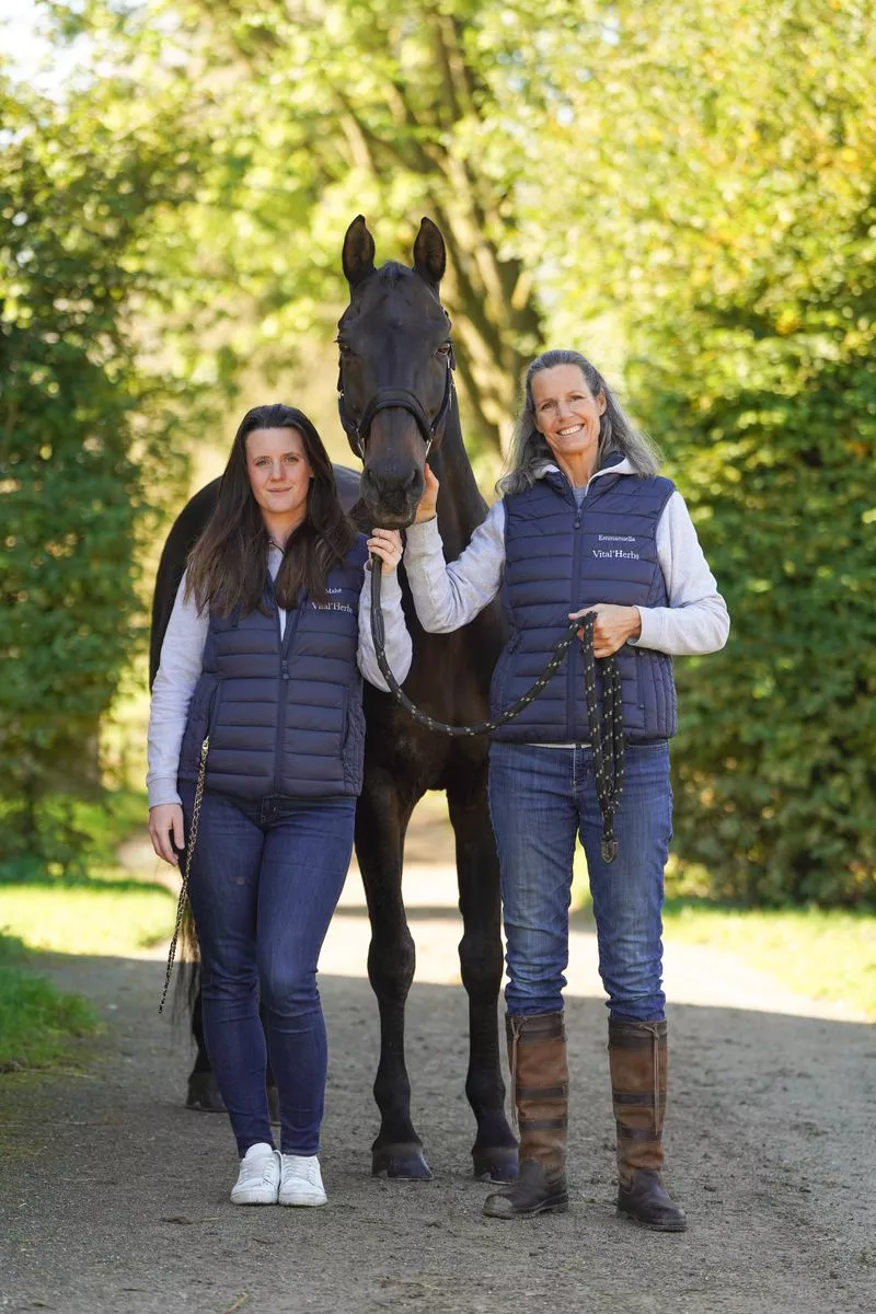 A propos de VitalHerbs