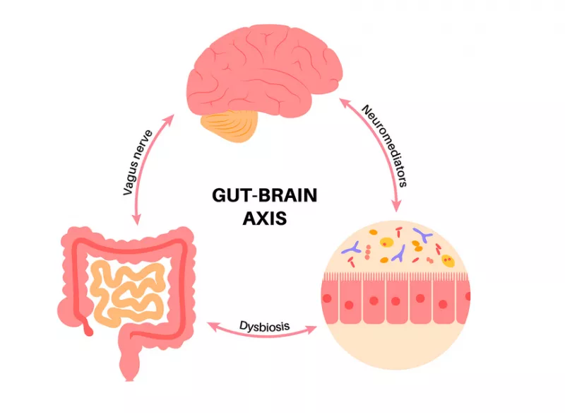 Mon cheval est devenu anxieux