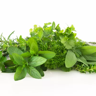 Drainage du foie : effet de mode ou nécessité ?