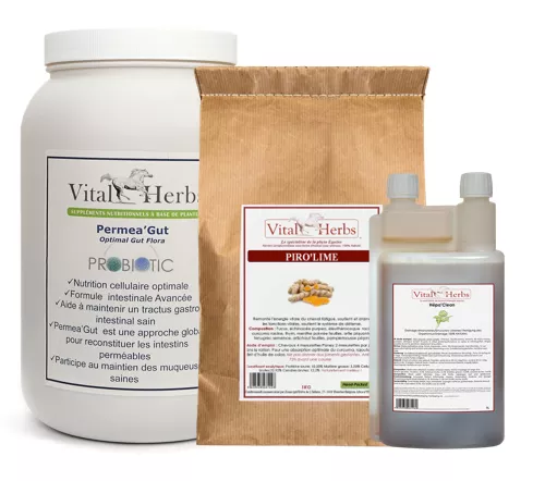 Pack Lyme/Piro Support