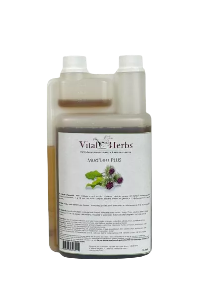 La Gale de boue : Le secret d'une guérison durable commence de l’intérieur.