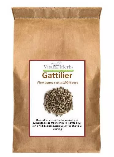 Gattilier Vitex Agnus-Castus